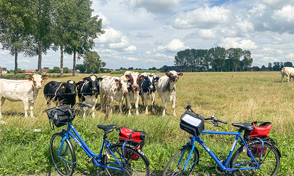 Highlights Around Brussels bike tours